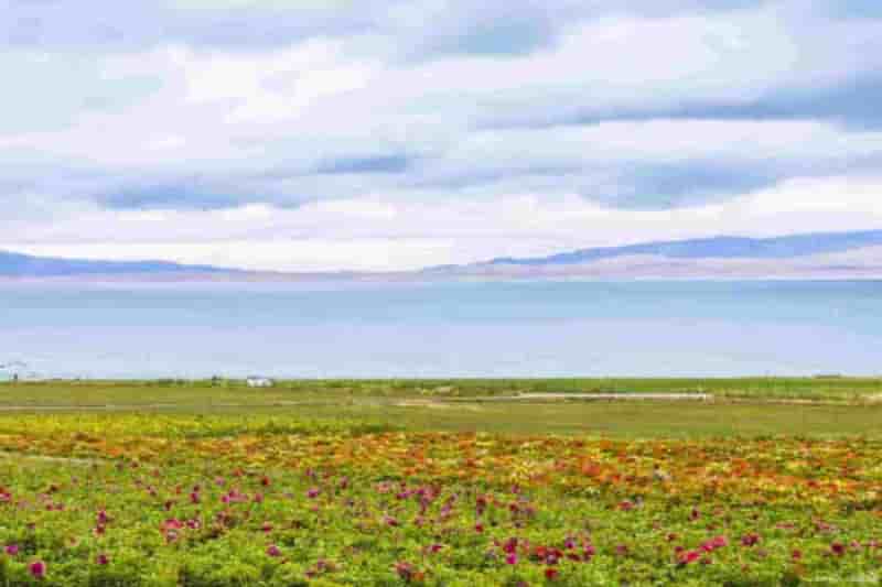 青海旅行社有哪些公司招聘信息电话