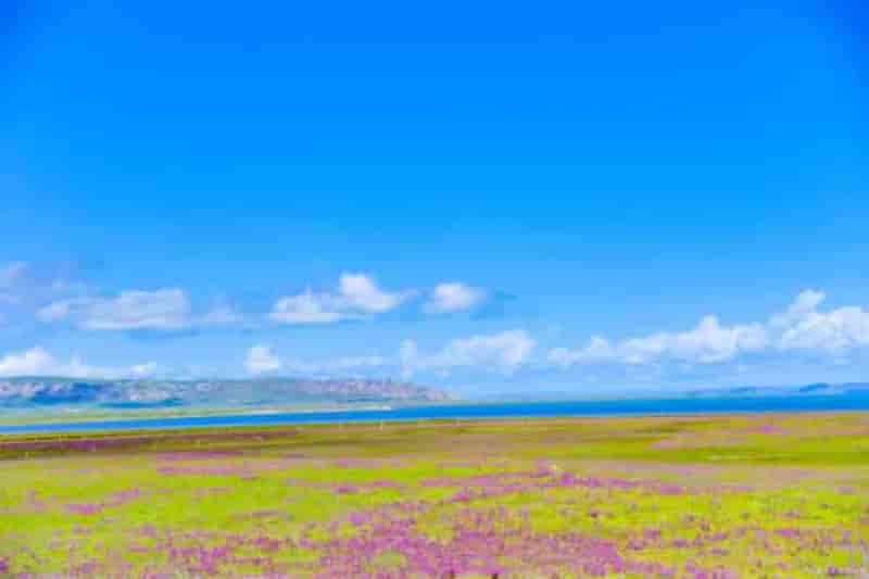 青海旅游包车服务公司电话