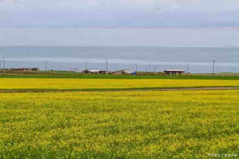 青海旅游团报价8日游价格