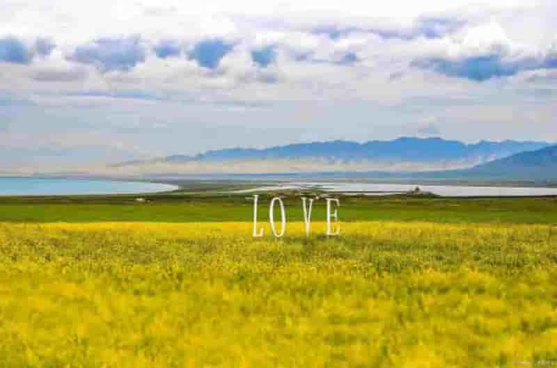 為什么去青海旅游